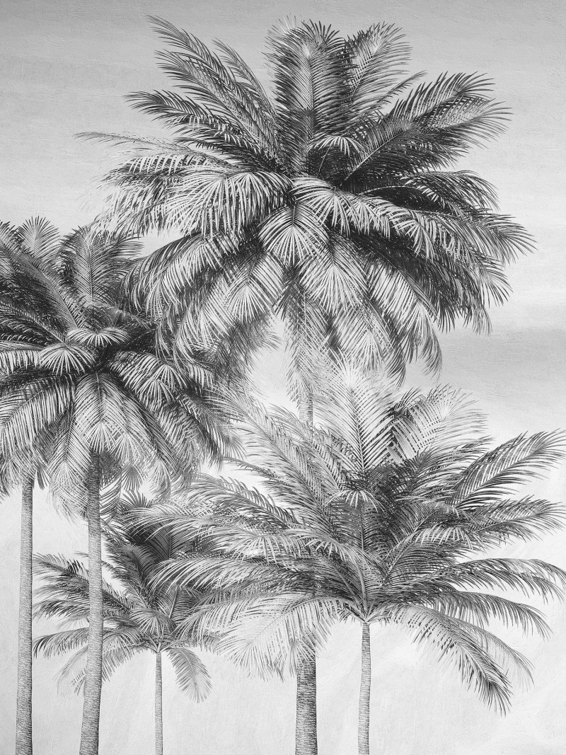 Cocco - Thumbnail View 1