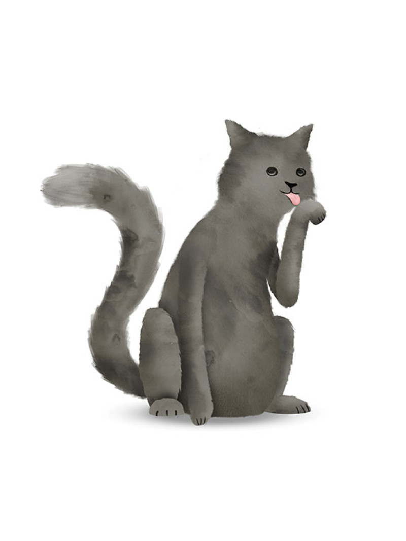 Cute Animal Cat - Thumbnail View 1