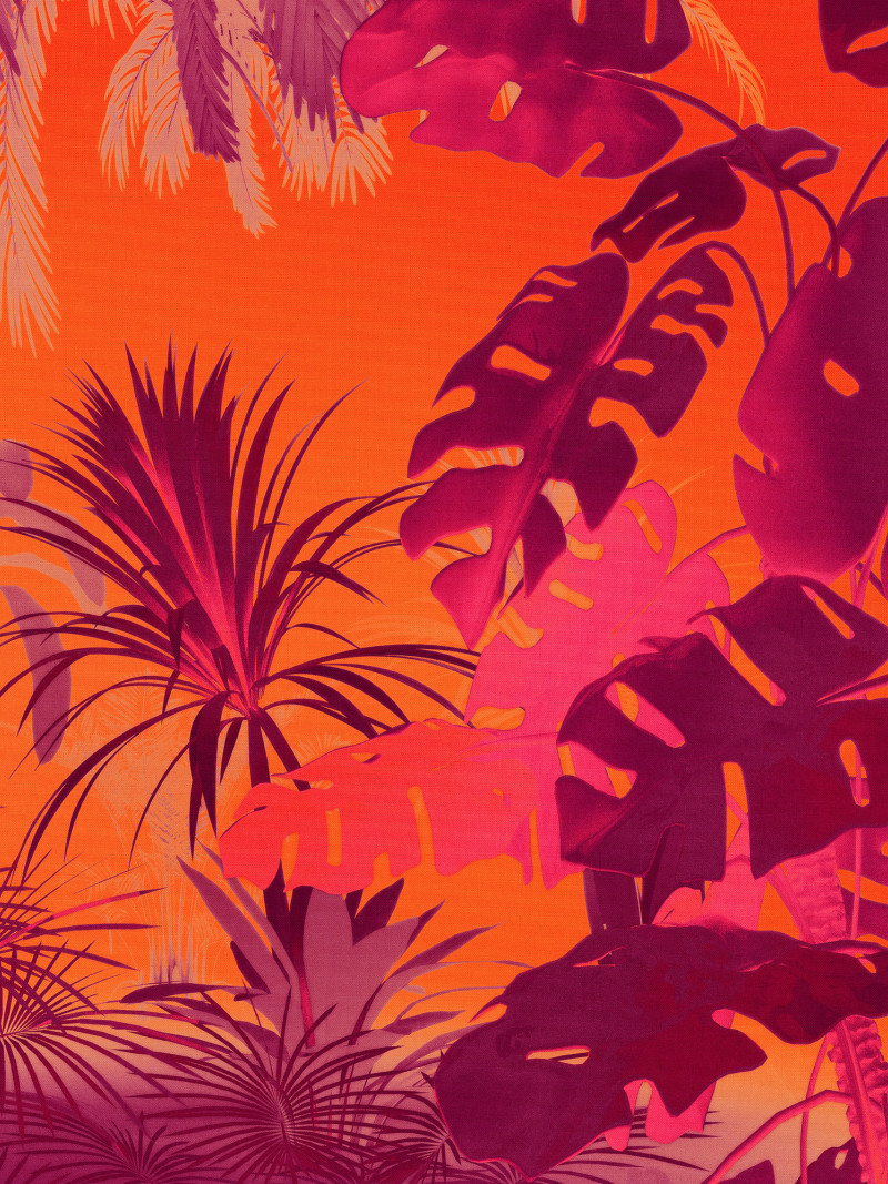 Funky Jungle - Thumbnail View 1