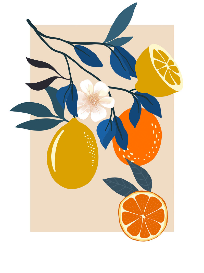 Illustration Finest Fruits - Thumbnail View 1
