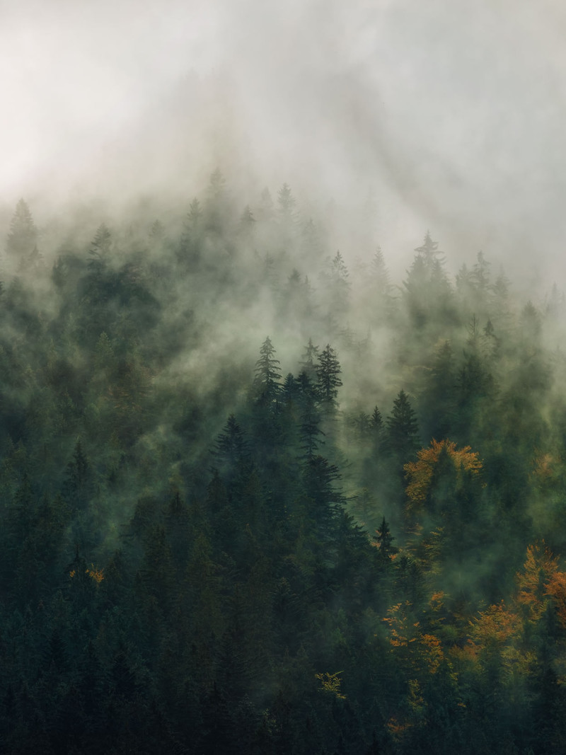 Tales of the Carpathians - Thumbnail View 1