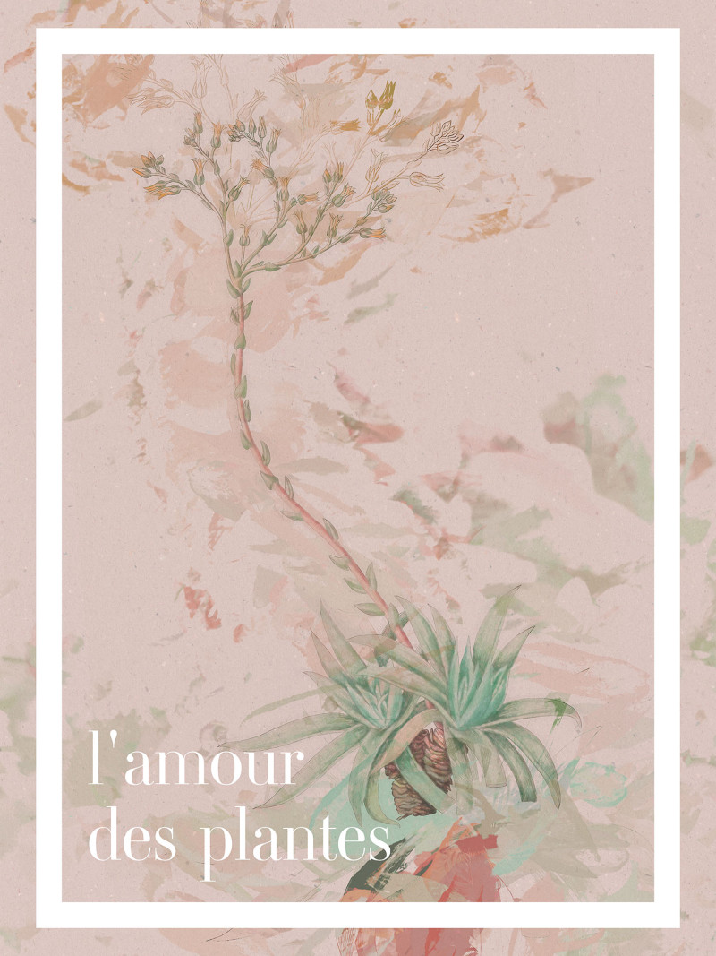 L'amour des plantes - Thumbnail View 1