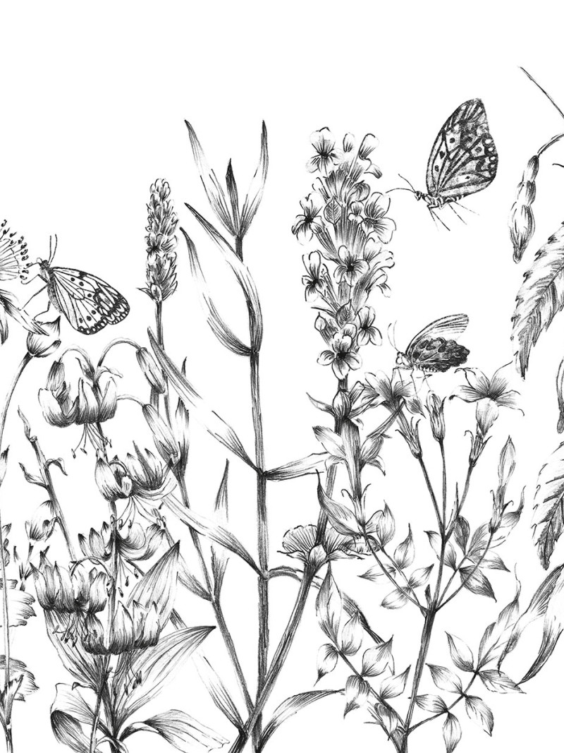 Butterfly Field - Thumbnail View 1