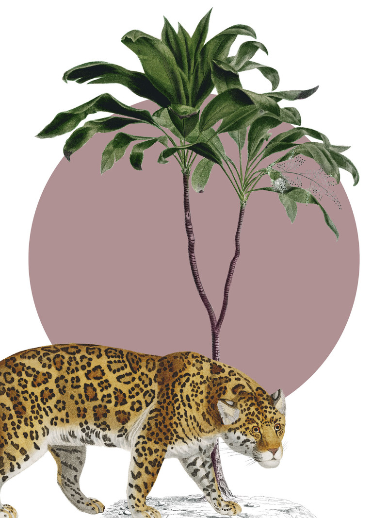 Botanical Garden Jaguar - Thumbnail View 1