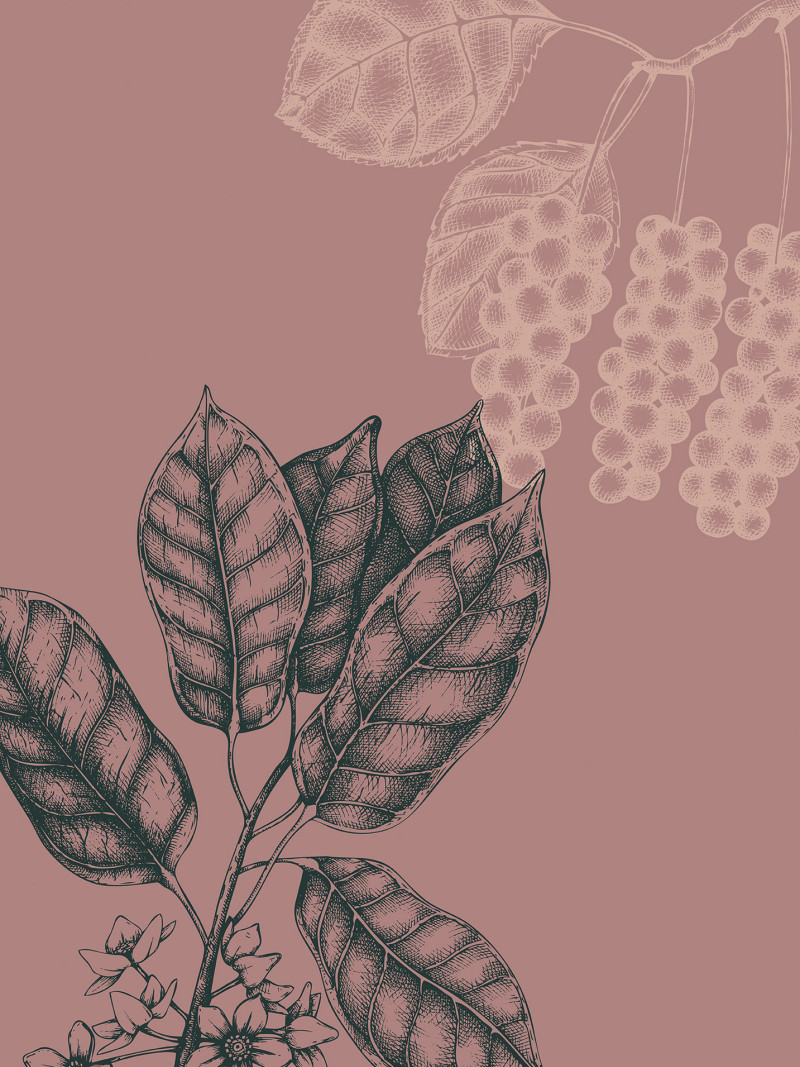 Wild Berry - Thumbnail View 1