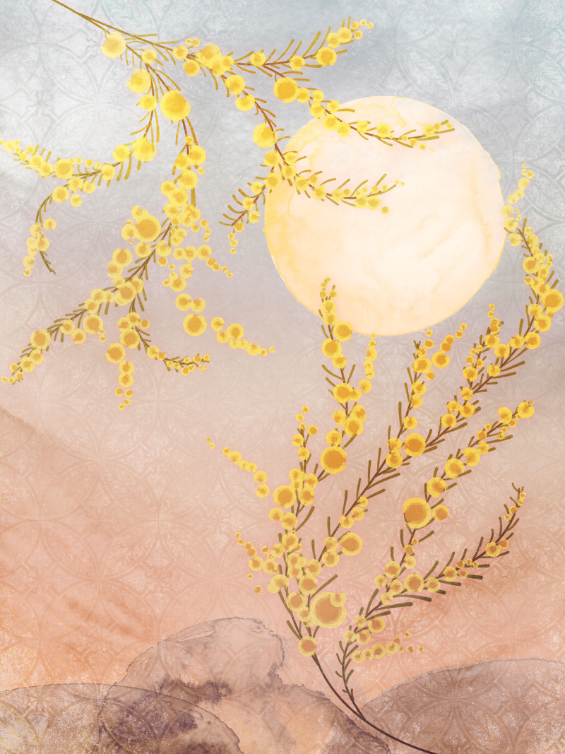 Sol - Thumbnail View 1