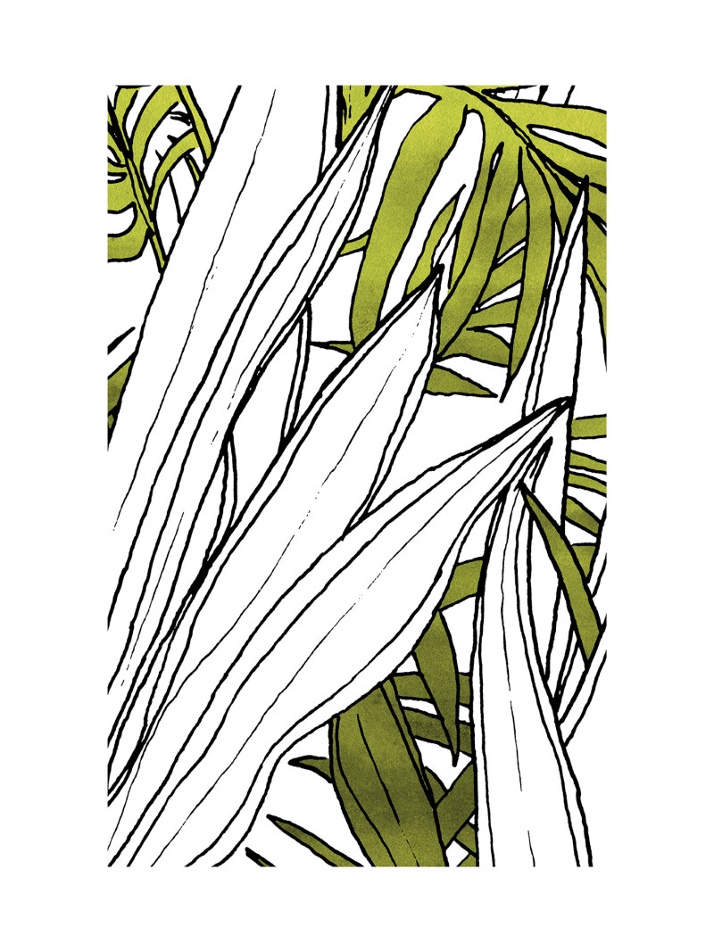 Bleached Leaves - Thumbnail View 1