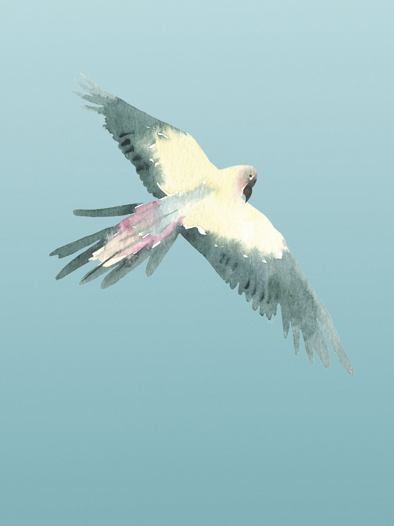 Ciel - Thumbnail View 1