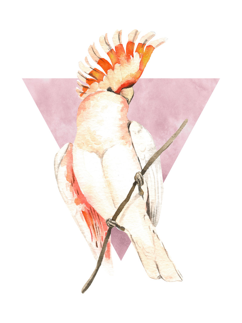Cute Cacadoo - Thumbnail View 1