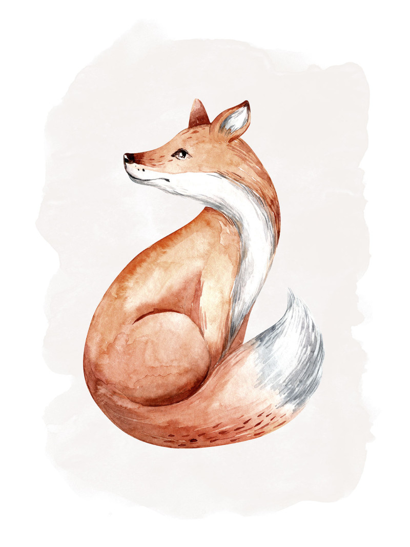 Curious Fox - Thumbnail View 1