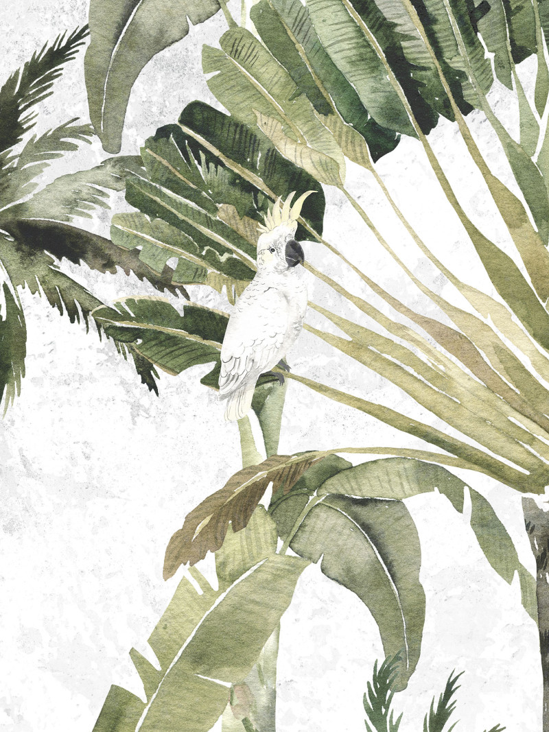 Oiseau Cacadoo - Thumbnail View 1