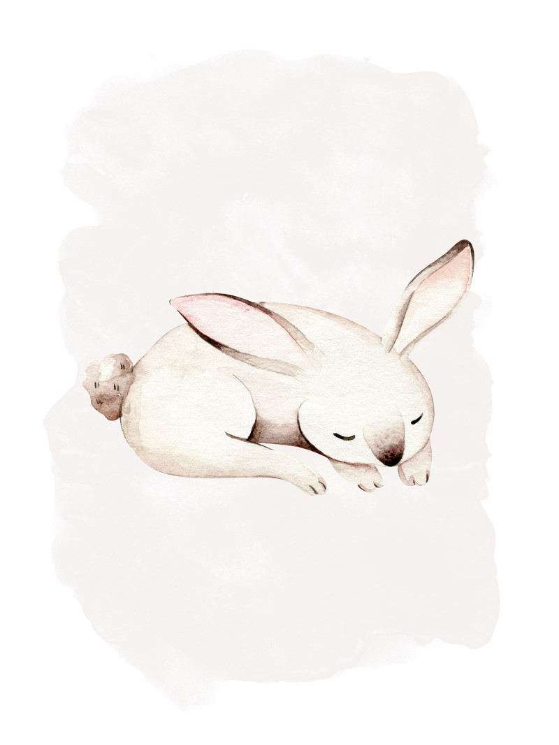 Sleepy Bunny - Thumbnail View 1