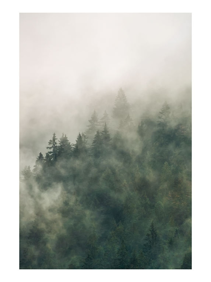 Tales of the Carpathians - Thumbnail View 1