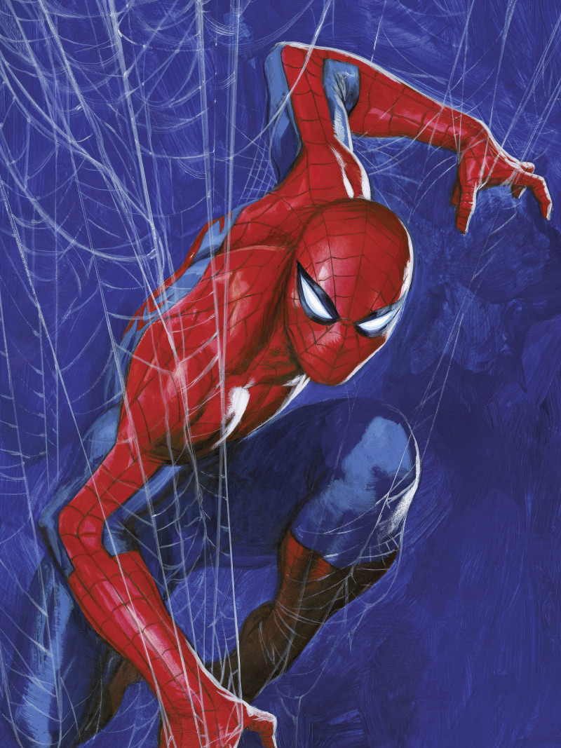 Marvel Spider-Man Spider Web - Thumbnail View 1