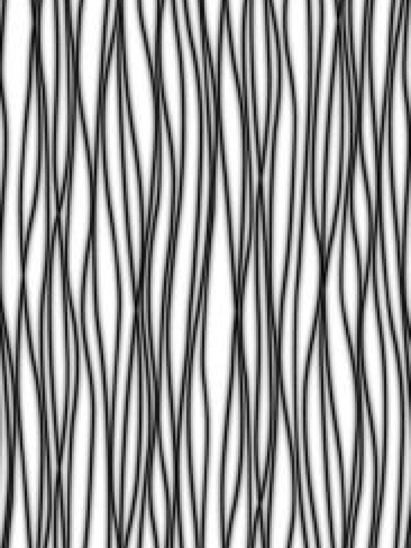 Zebra - Thumbnail View 1