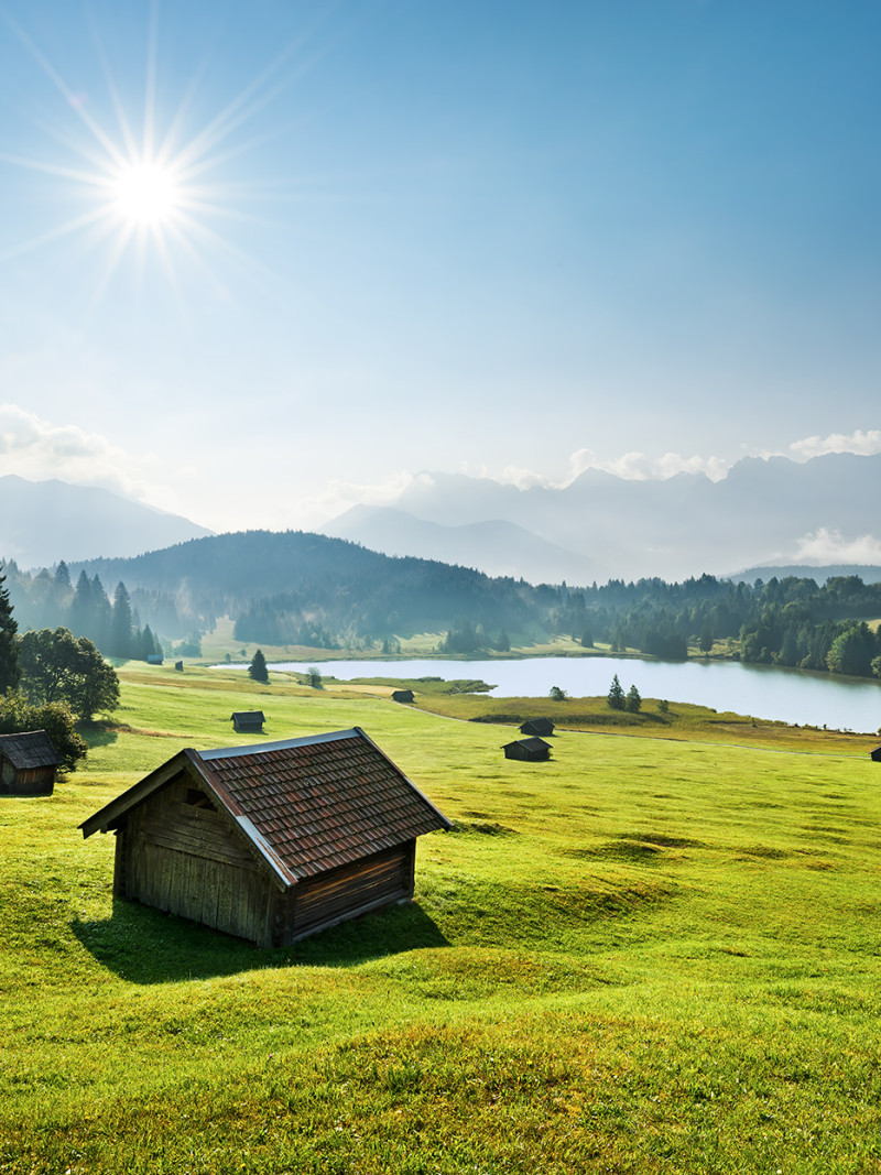 Bergwiese vor Karwendel - Thumbnail View 1