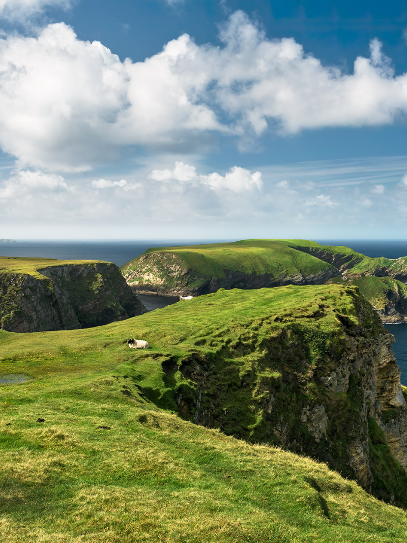 Green Ireland - Thumbnail View 1