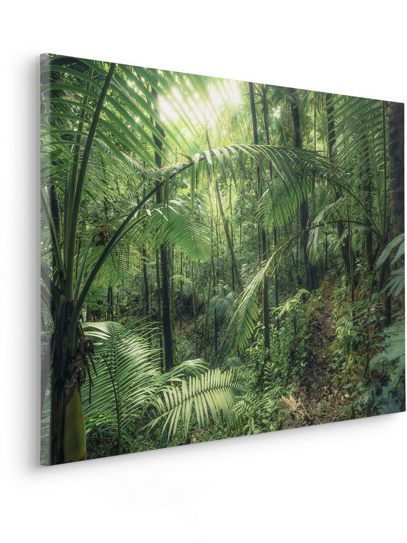 Jungleflair - Thumbnail View 1