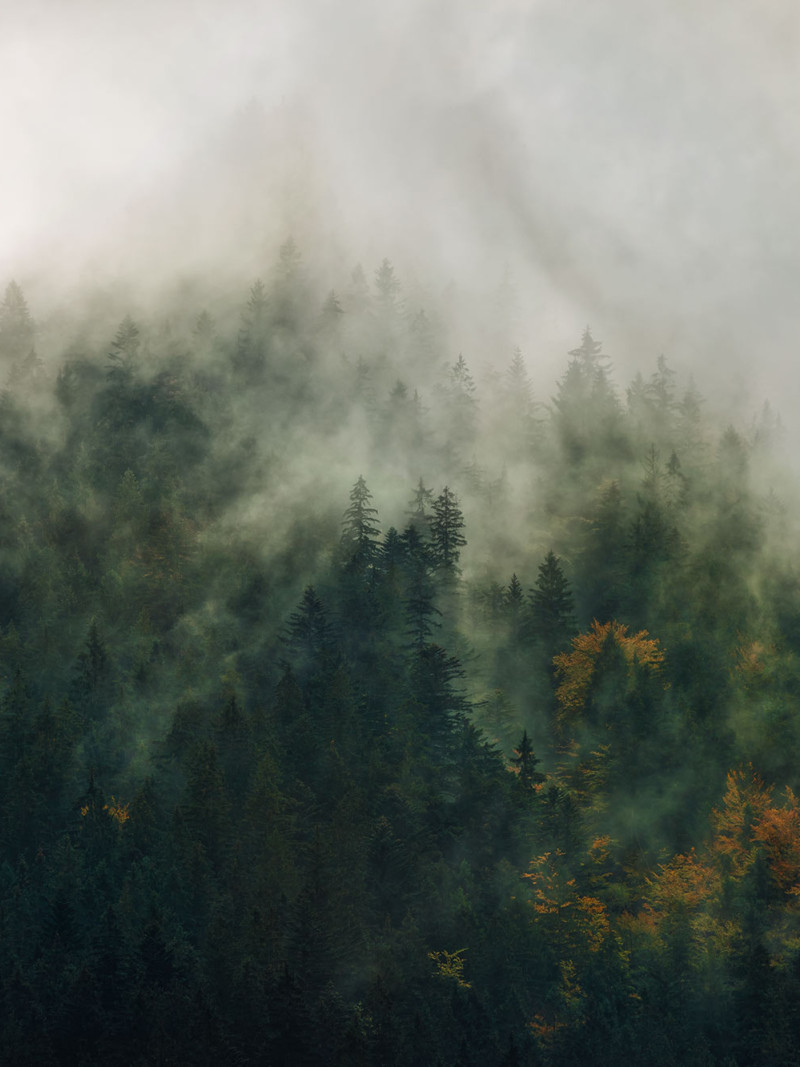 Tales of the Carpathians - Thumbnail View 1