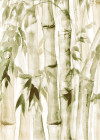 Wild Bamboo