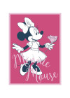 Minnie Mouse Girly