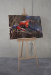Marvel Spider-Man Landing - View 1
