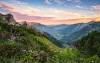Alps - View 1