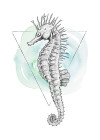 Sea Horse Watercolor