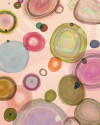 Microcosmos - View 1