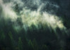 Misty Crowns - View 1