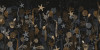Deep Delight - View 1
