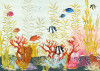 Coral World - View 1