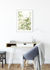 Bamboo Leaves