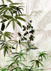 Bamboo Forest