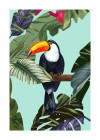Wild Amazonia - View 1
