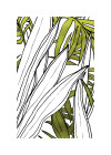Art Edition - View 1