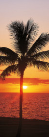 Hawaii - View 1