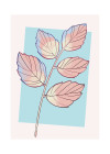 Cinderella Plant