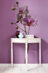 Orchidee - View 1