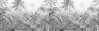Amazonia Black and White - View 1