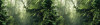 Tropenwelten - View 1