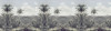 The Exotic Land - View 1