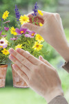 Springtime - View 1