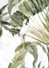 Jungle Drums - View 1