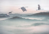 Mystic Cranes - View 1