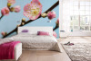 Peach Blossom - View 1