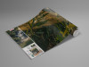 Golden Falls - View 1
