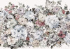 Posy - View 1