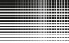 Griddy whiteblack-grey - View 1