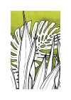 Art Edition - View 1